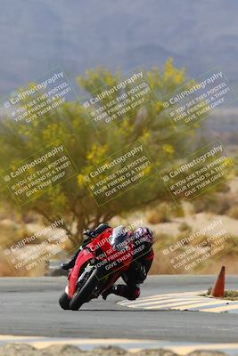 media/Apr-10-2022-SoCal Trackdays (Sun) [[f104b12566]]/Turn 5 Tree of Life (1040am)/